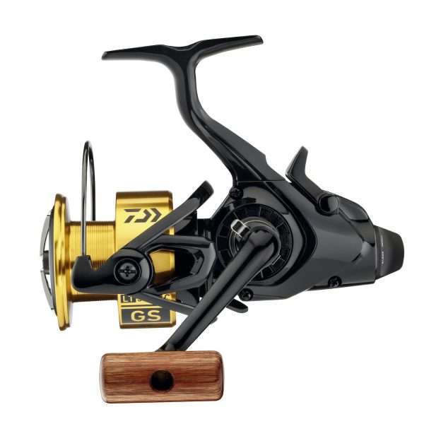 DAIWA 20 GS BR LT, left and right hand, Freespool Fishing Reel, Rear Drag 4000-C