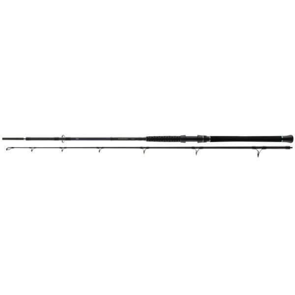 DAIWA Powermesh Catfish Boat PMC 400G, 100-400g, 2 parts, Catfish fishing rod 2.75m / 100g - 400g