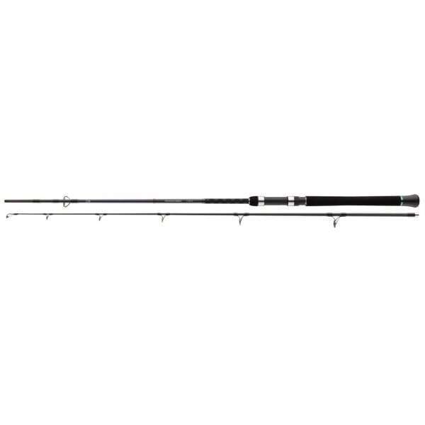 DAIWA Powermesh Catfish Spin, 2 parts, Catfish fishing rod 2.75m / 0g - 190g