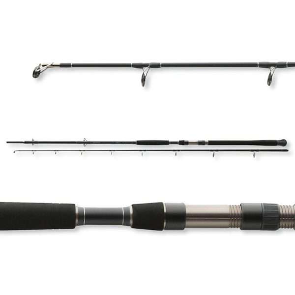 DAIWA Exceler Catfish, 200-600g, 2 parts, Catfish Rod 3.3m / 200g - 600g