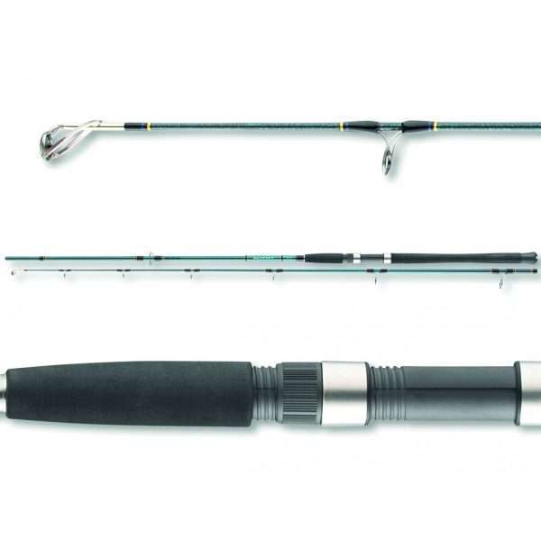 DAIWA Saltist Sea Pilk 2S, 2 parts, pilk rod, EVA handle 2.7m / 40g - 110g