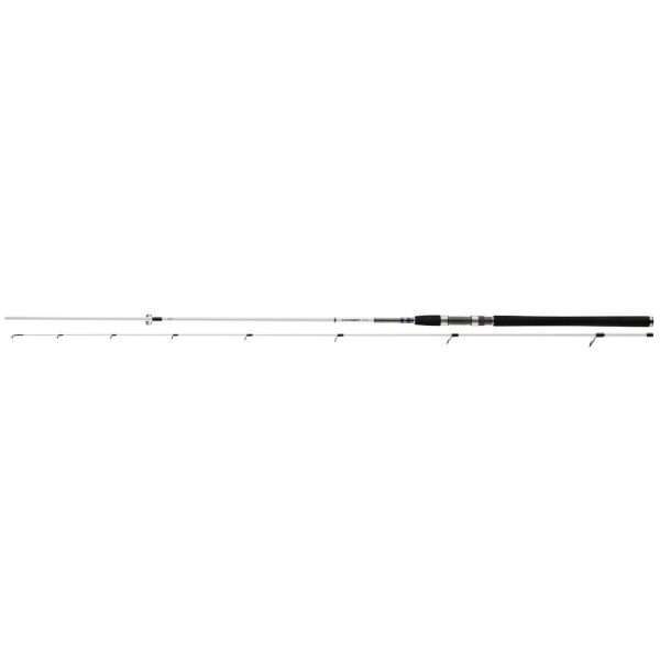 DAIWA Grandwave Seatrout , 3,05m, 10ft, 10-40g, 2 parts, Sea Trout Rod, 11883-300