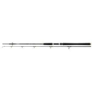 DAIWA BG Offshore Pilk , 2 parts, Pilk fishing rod, EVA handle 2.10m / 40g – 125g