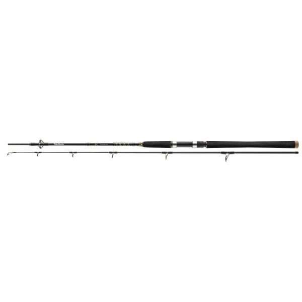 DAIWA BG Offshore Pilk , 2 parts, Pilk fishing rod, EVA handle 2.70m / 40g - 125g