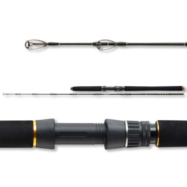 DAIWA BG Deep Sea, 2 parts, Boat fishing rod 1.75m / 30 lbs