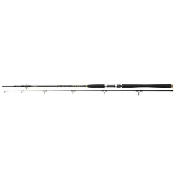 DAIWA BG Offshore Pilk , 2 parts, Pilk fishing rod, EVA handle 2.40m / 50g - 165g