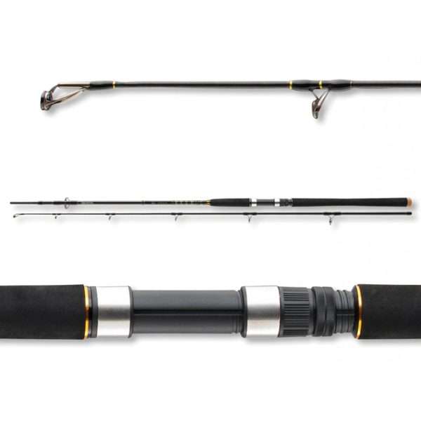 DAIWA BG Offshore Boat, 150-400g, 2 parts, Boat fishing rod 2.4m