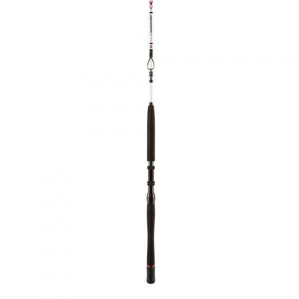 PENN Squadron II Travel Boat, 5 parts, Travel Boat Fishing Rod 20 lbs