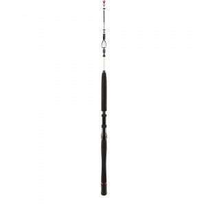 PENN Squadron II Travel Boat, 5 parts, Travel Boat Fishing Rod 30 lbs