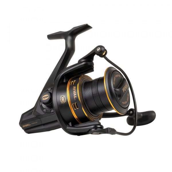 PENN Rival Longcast Gold, left and right hand, Long Cast Fishing Reel, Front Drag 6000