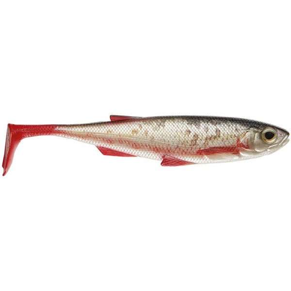 DAIWA Duckfin Liveshad, Soft plastic fishing lures 20cm / live roach