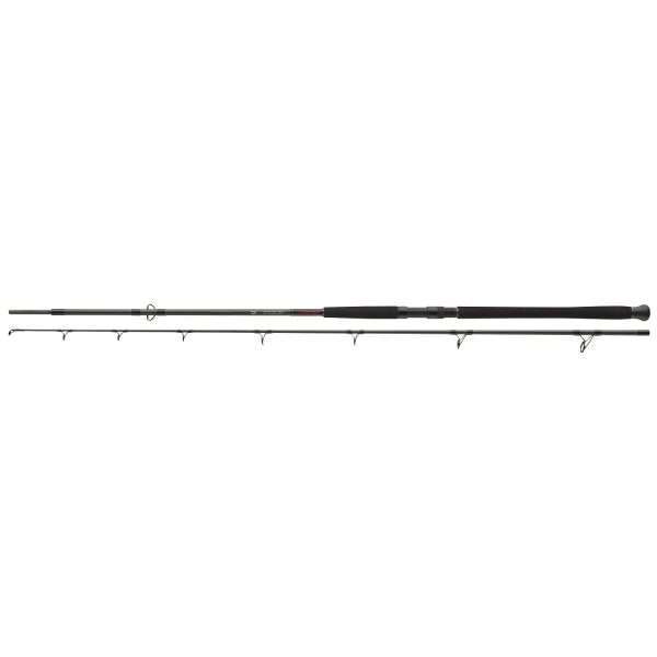 DAIWA Exceler Catfish Boje, 200-600g, 2 parts, Catfish Fishing Rod 3.3m
