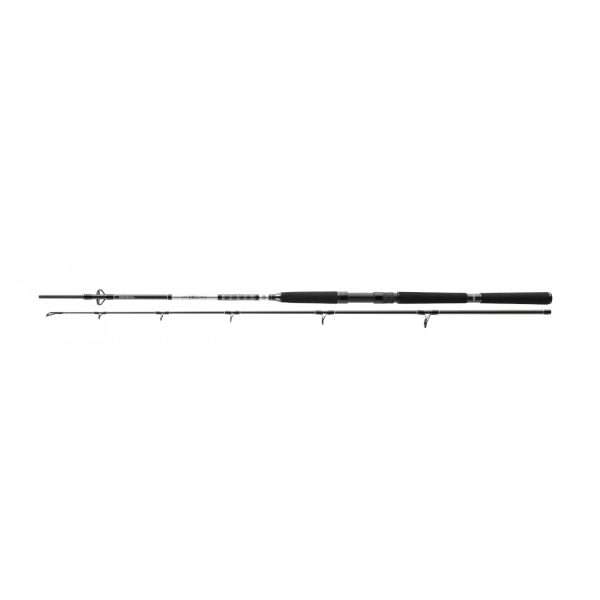 DAIWA BG Offshore Boat, Boat Fishing Rod 2.1m / 150g - 400g