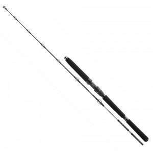 Daiwa BG Deep Sea, Boat Rod 2.2m / 150g - 400g
