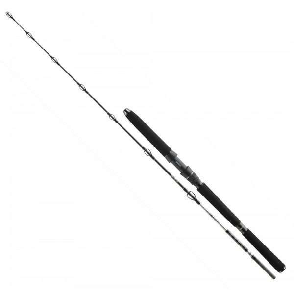 Daiwa BG Deep Sea, Boat Rod 2.2m / 150g - 400g
