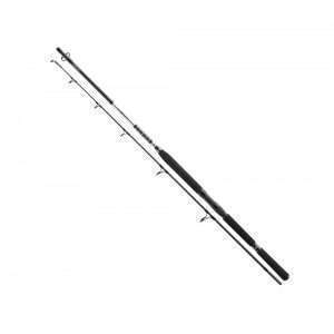DAIWA BG Popper XH, 2,3m, 7,54ft, 40-150g, 2 parts, Sea Spinning Rod, 11928-230