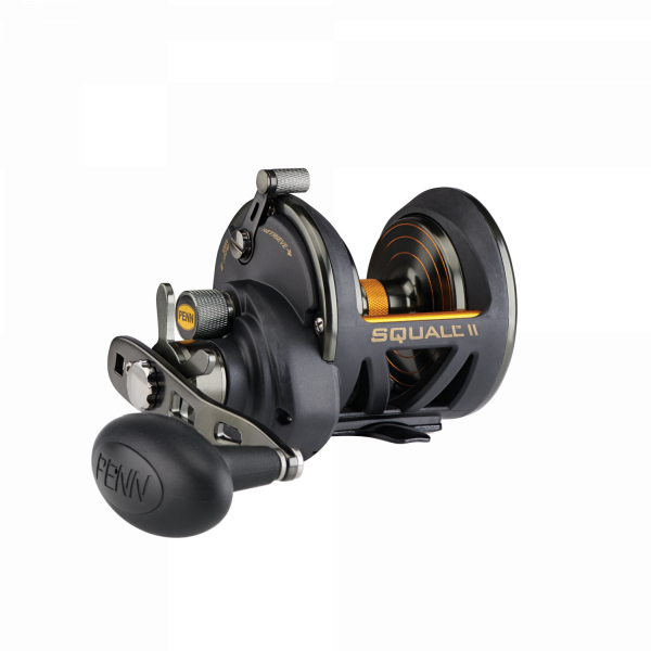 PENN Squall II Conventional, Multi Fishing Reel, Star Drag 40-Right hand
