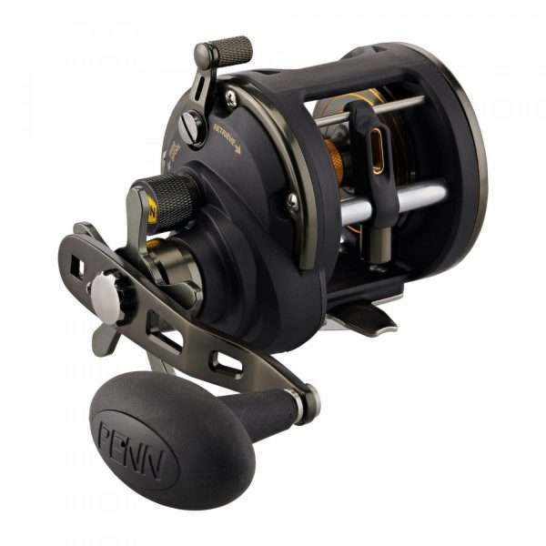 PENN Squall II Levelwind, Multi Fishing Reel, Star Drag 15 LW-Right hand